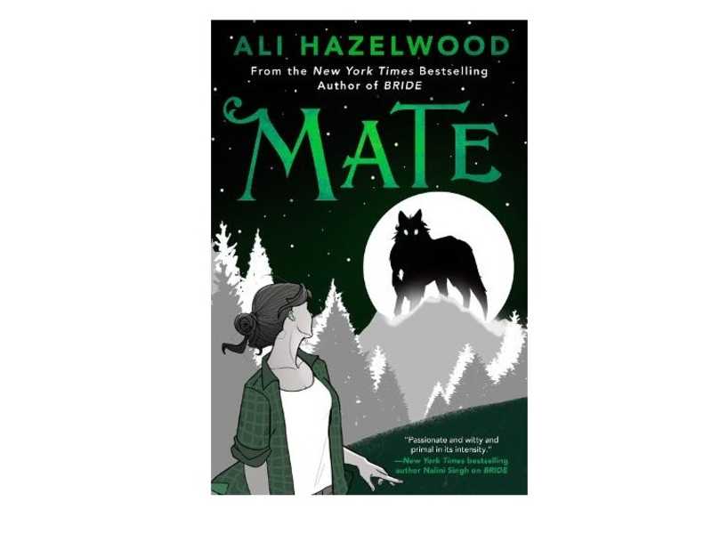 Bookazine Mate - good books to read on holiday, best new books for adults