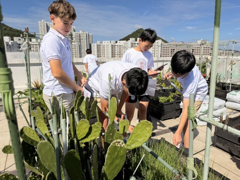 IMS students enjoying Middle School programme.