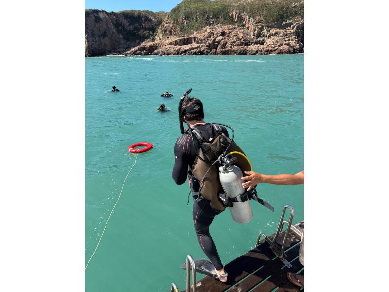 experiential learning