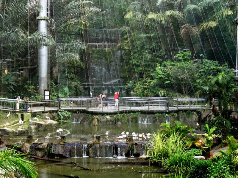 Kuala Lumpur Bird Park