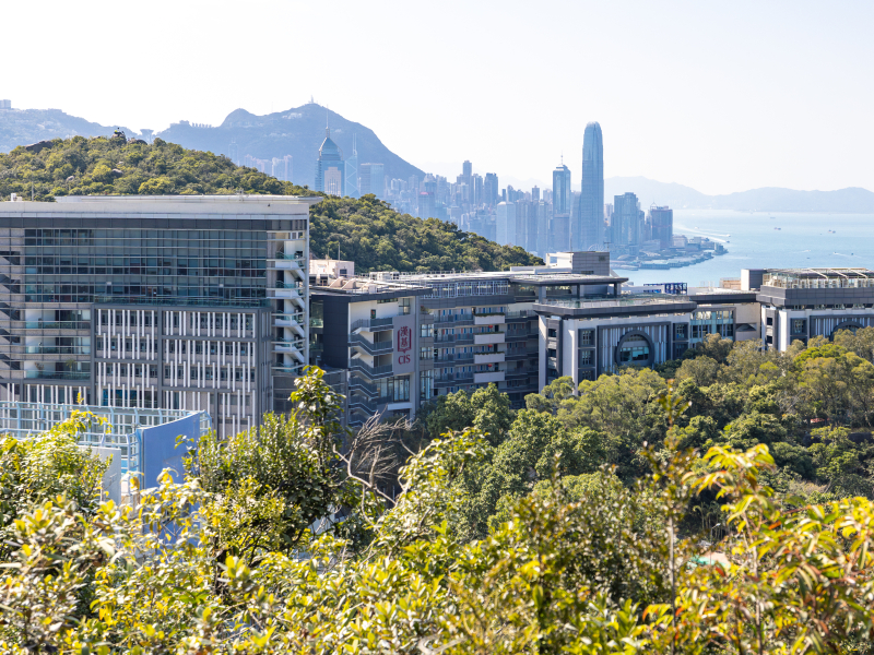 Chinese International School