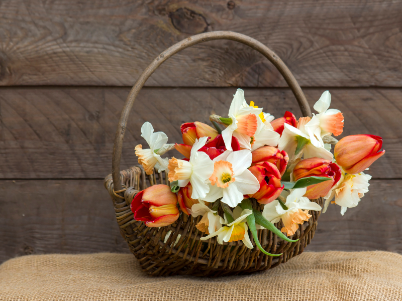 Studia Workshop: Flowers for a Cause