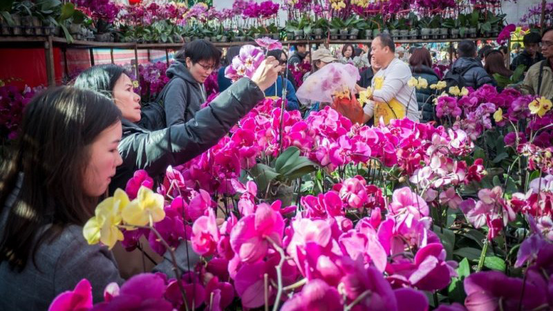 Flower markets