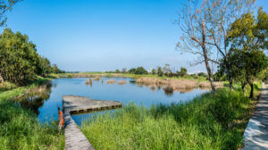 Hong Kong Wetland Park