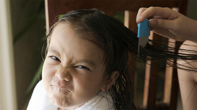 head lice in Hong Kong