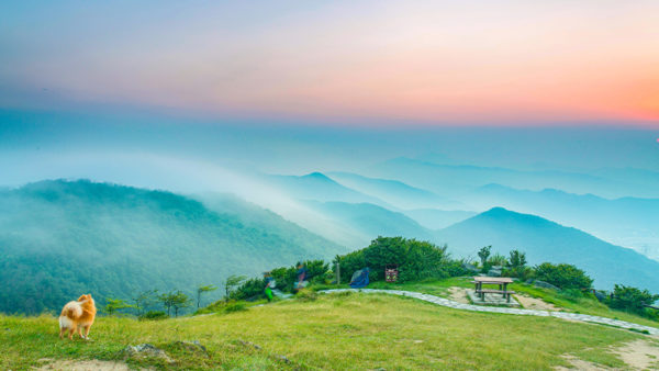 Parks in Hong Kong - Tai Mo Shan Country Park