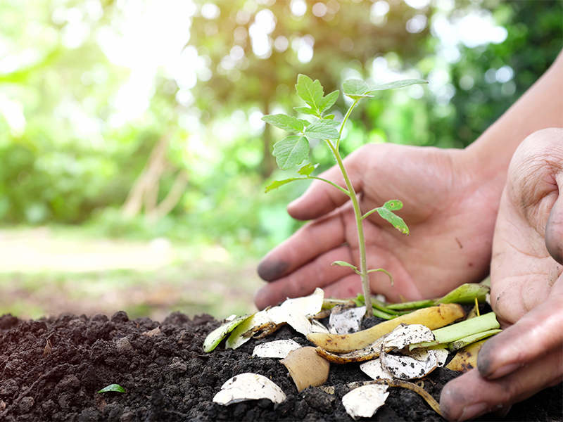 Composting in Hong Kong for IWD feature on Janice Baird