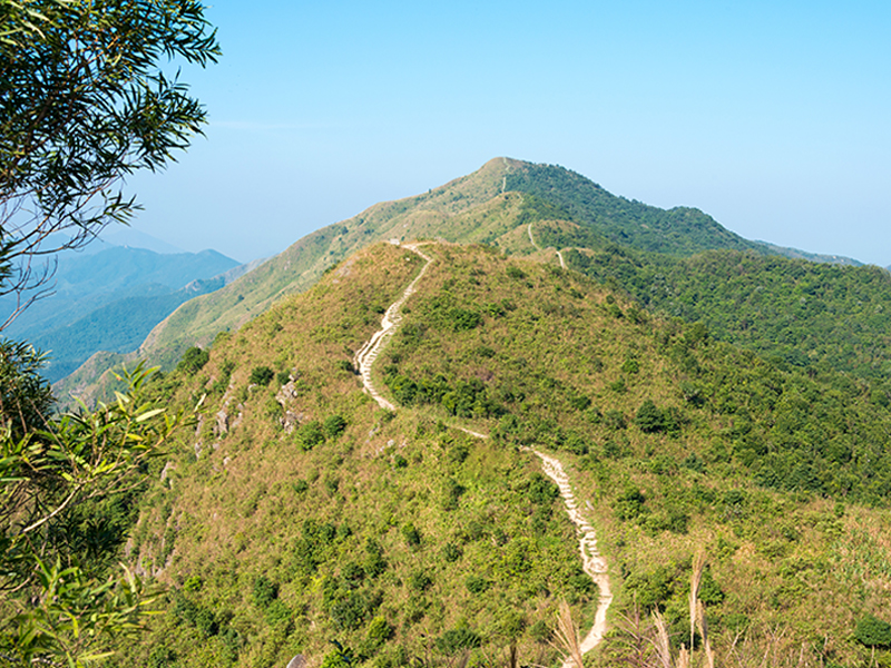 HK country park