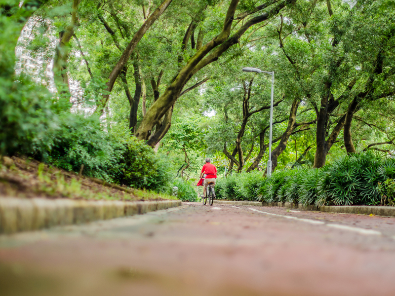 must do in Hong Kong - cycling in the New Territories