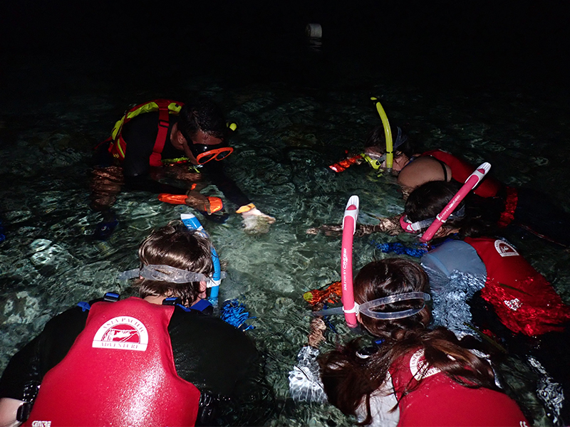 Hong Kong summer camps - Camp APA in Cebu, Philippines, marine exploration for teens