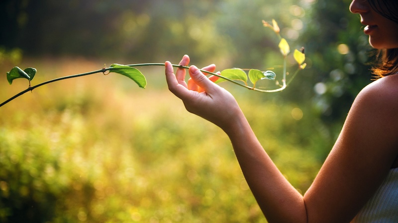 connection with nature, meaning of interconnectedness, tarot reader in hong kong