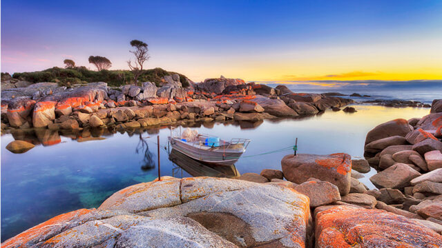 tasmania road trip