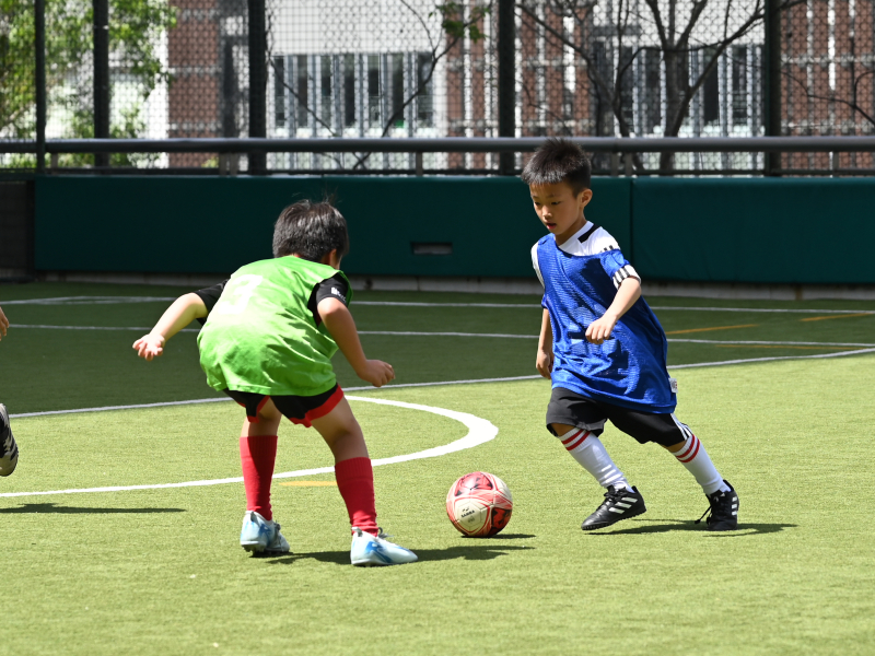 summer programme for schools holidays