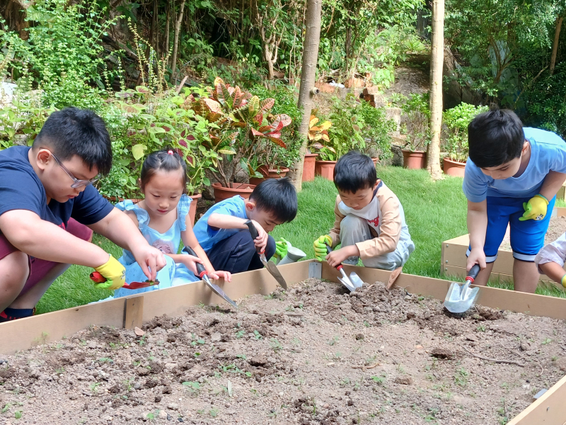 Summer Camps in Hong Kong 